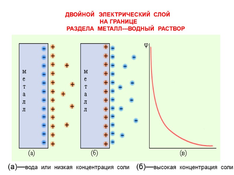 ДВОЙНОЙ  ЭЛЕКТРИЧЕСКИЙ  СЛОЙ    НА ГРАНИЦЕ    